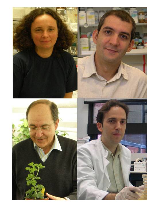 Selma Gago, Santiago F. Elena, Ricardo Flores y Rafael Sanjuán