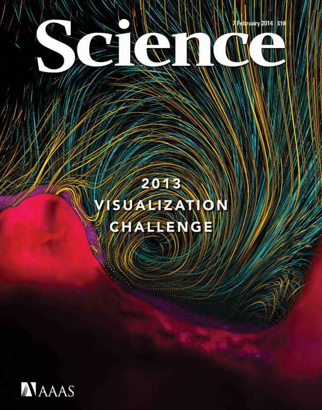 Desafío Internacional de Visualización en Ciencia e Ingeniería 2013. / Science