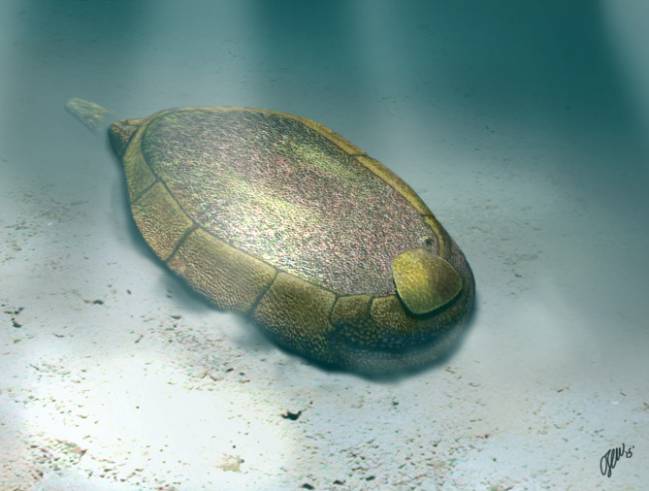 Reconstrucción de Protocinctus en vida