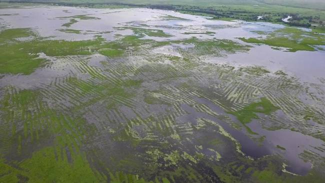 La Mojana durante la temporada de lluvias