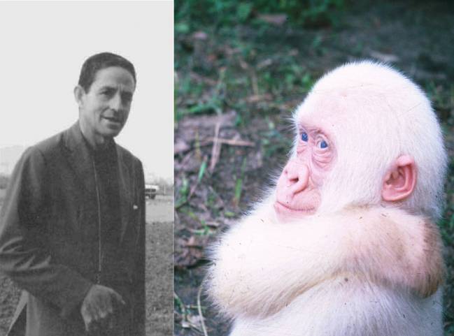 Jordi Sabater Pi en Guinea y Copito de Nieve en el centro de Ikunde. / Jordi Sabater Pi / UB