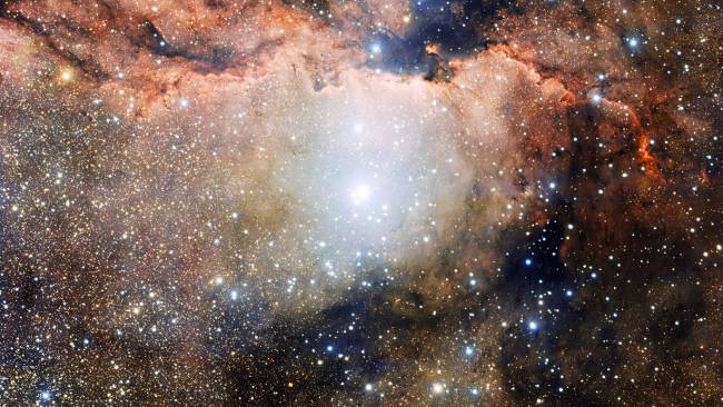 Un gran espectáculo de nuevas estrellas