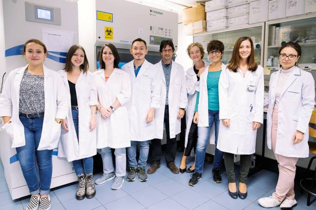 autores del estudio