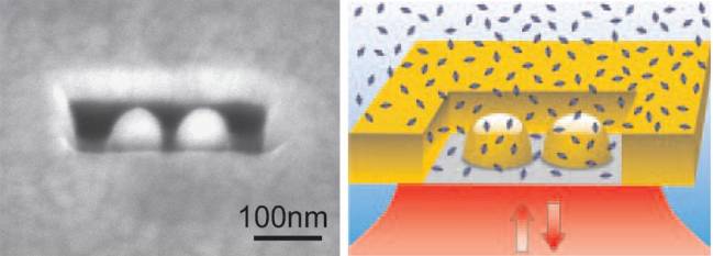 Antena dentro de una nanocaja para analizar biomoleculas individuales en grandes concentraciones