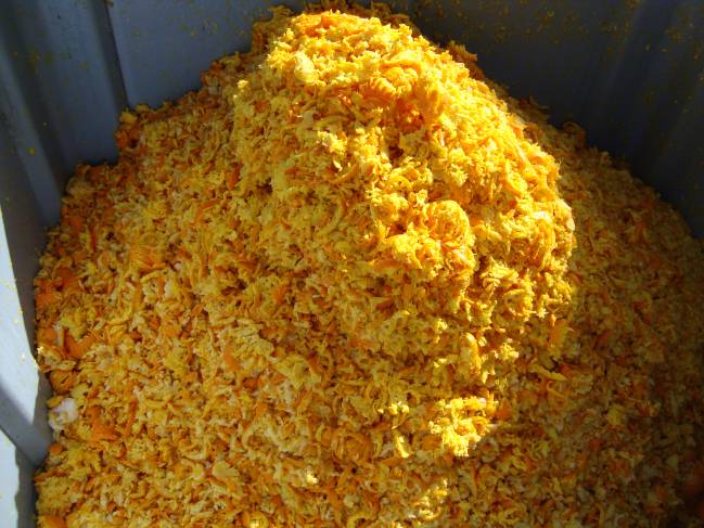 Investigadoras de AZTI-Tecnalia analizan la calidad de cítricos