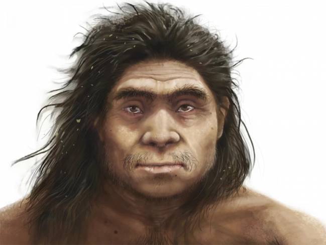 Ilustración artística de los rasgos faciales robustos de un denisovano