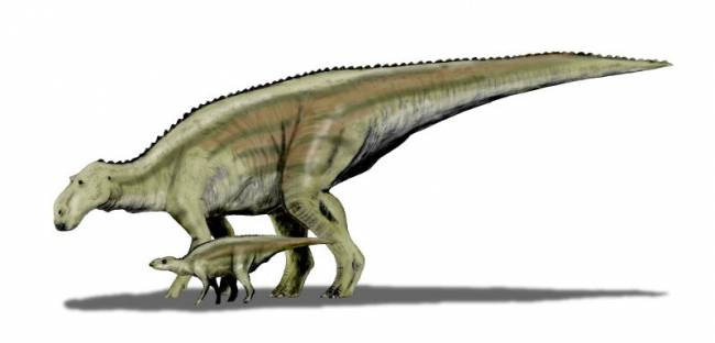 Reconstrucción de Maiasaura peeblesorum