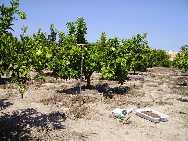 Muestreo de suelo agrícola. Foto de los investigadores.