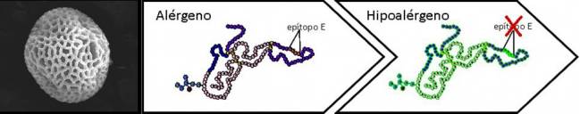 Imagen del alégeno a la vacuna