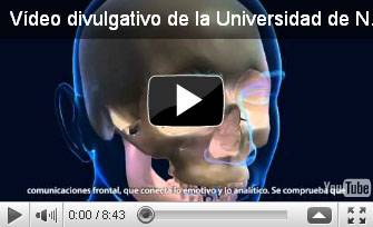 Vídeo "Cerebro ético: atajo emocional ante dilemas"