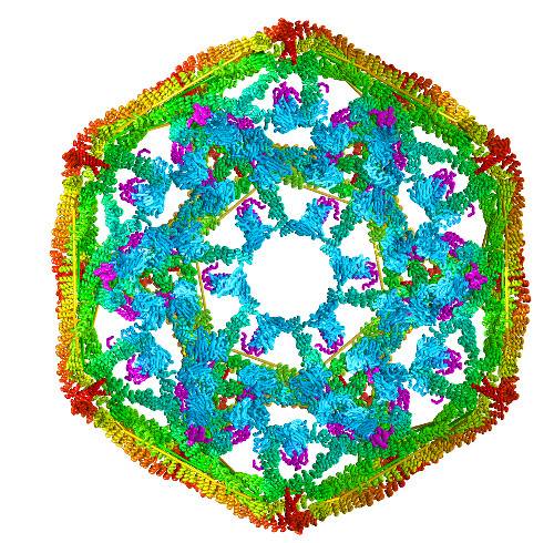 Cubierta de clatrina