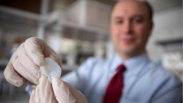 Larry Bonassar muestra una oreja fabricada con impresoras 3D en su laboratorio de la Universidad de Cornell. / Universidad de Cornell