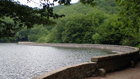 Río Tordera, una de las áreas de estudio