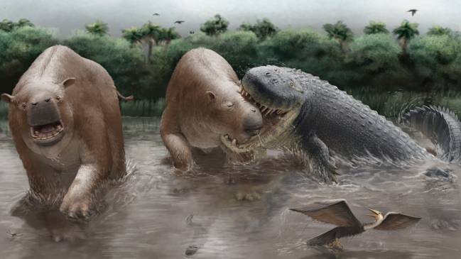 Reconstrucción de Purussaurus neivensis atacando a Pericotoxodon platignathus.