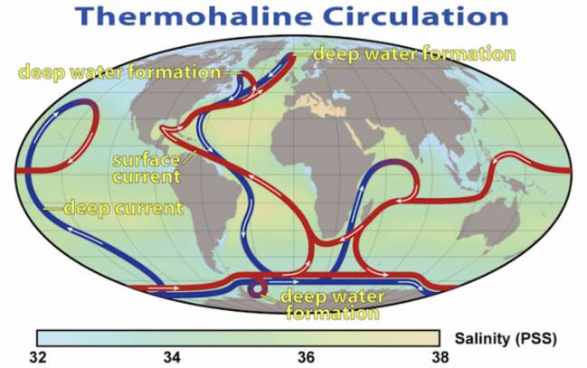 Esquema de las corrientes de circulación termohalina oceánica. Los surcos azules representan corrientes profundas, mientras que los surcos rojos representan corrientes superficiales. / NASA | Robert Simmon