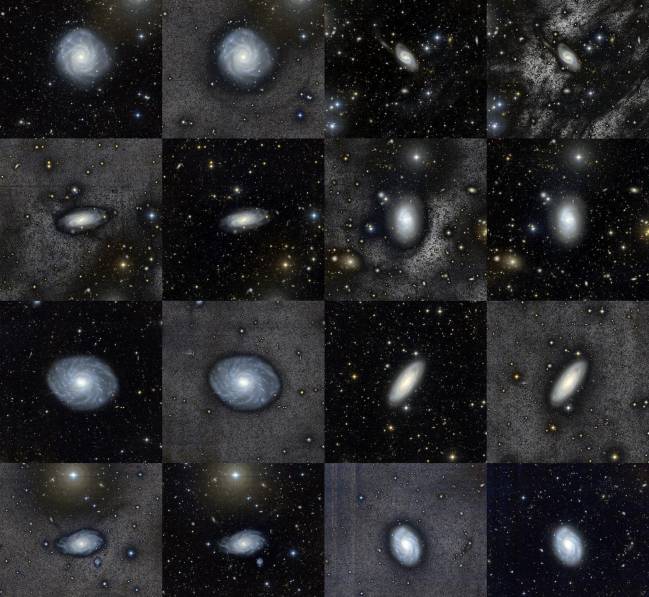 galaxias