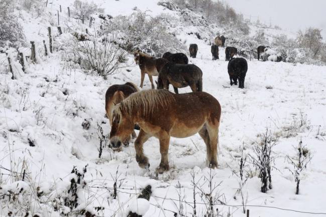 nieve en la Cordillera