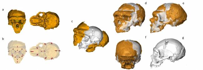 Investigador en la cueva de Lamalunga