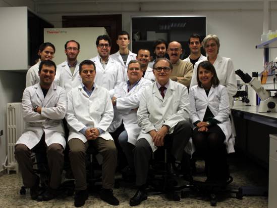 miembros del grupo