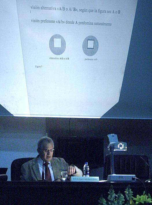 el profesor de la Universidad de Valencia Ángel López García-Molins