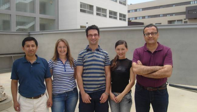 Investigadores de la UAL que participan en este proyecto de excelencia