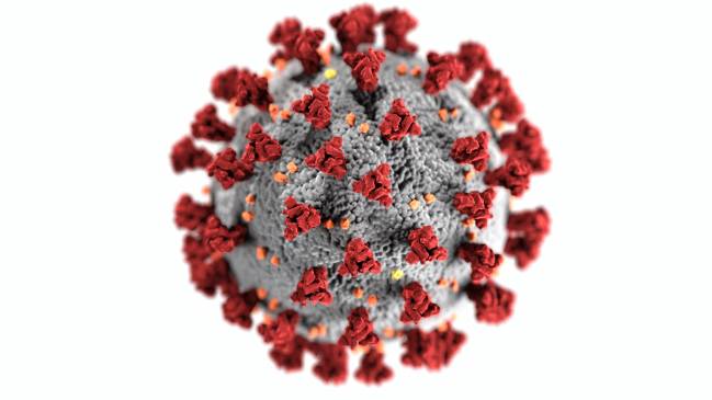 coronavirus