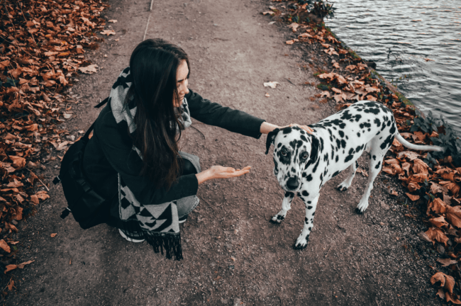 mujer con un perro