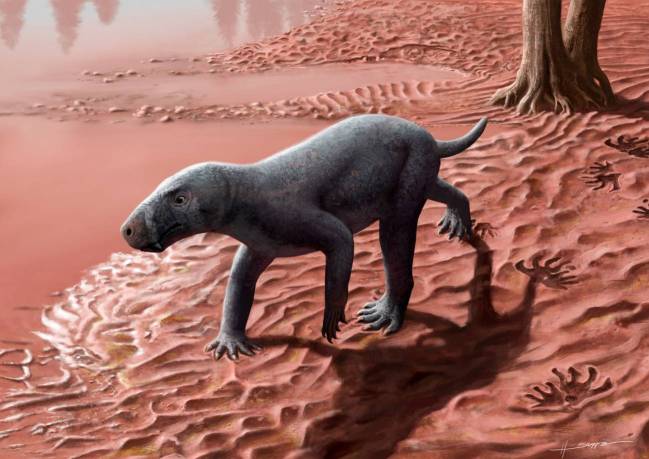 gorgonopsio