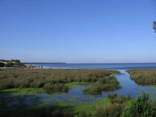 Paisaje de Doñana