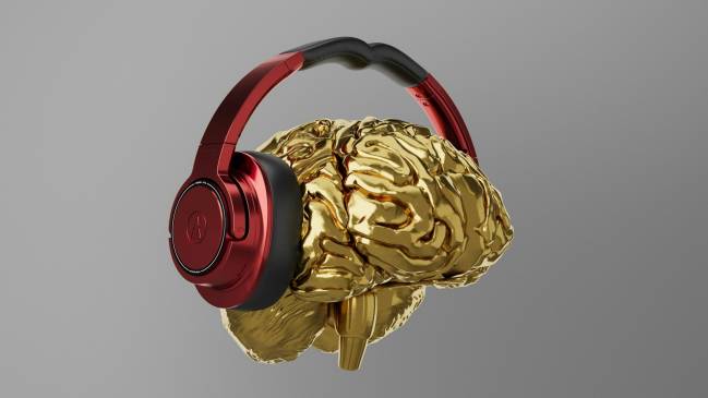 cerebro