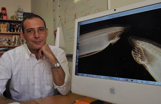 Jordi García-Fernández