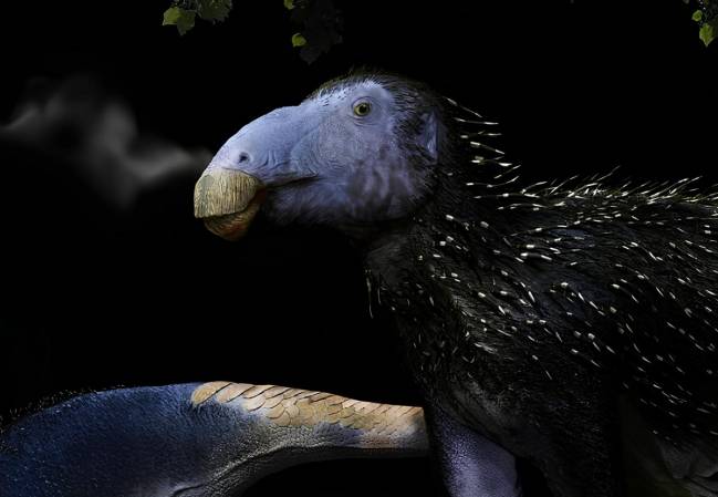 Reconstrucción artística de un Haolong dongi juvenil 