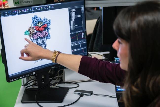 proteínas, energía