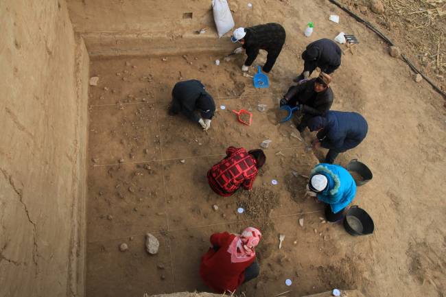 Un grupo de arqueologos excava el yacimiento de Xiamabei