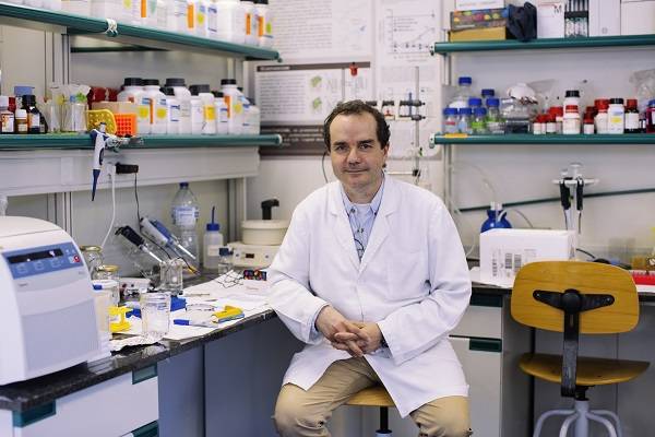 El profesor Francisco Ciruela, de la Facultad de Medicina y Ciencias de la Salud, el Instituto de Neurociencias de la UB y el IDIBELL.
