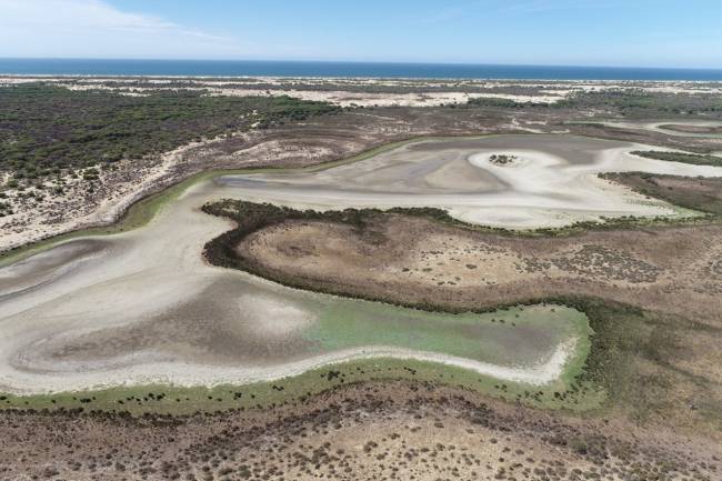 Laguna-Santa-Olalla-Doñana