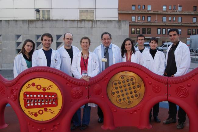 grupo de investigación VHIR