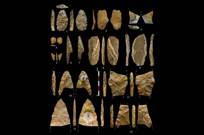  Paleolítico superior, redes sociales, herramientas