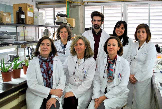 Grupo Plantas Medicinales