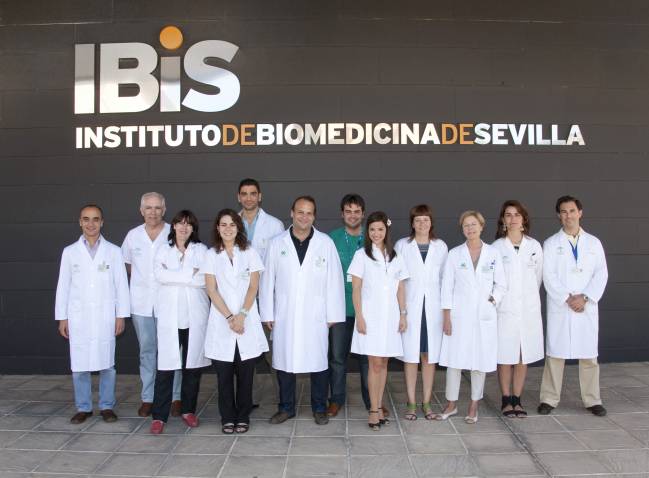 El grupo de investigación