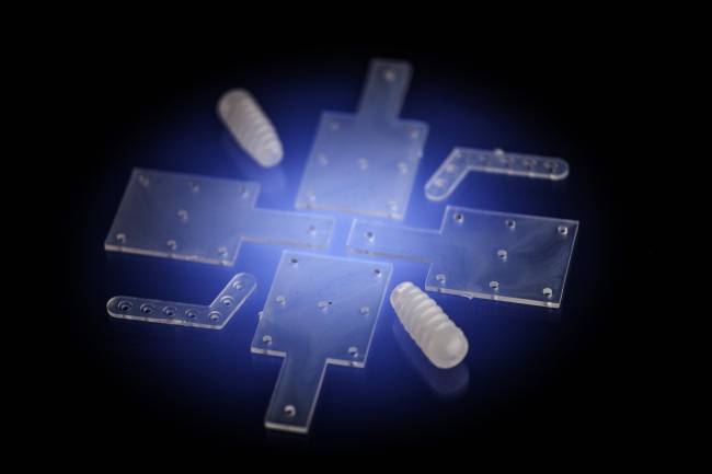 Implantes de polímeros biodegradables