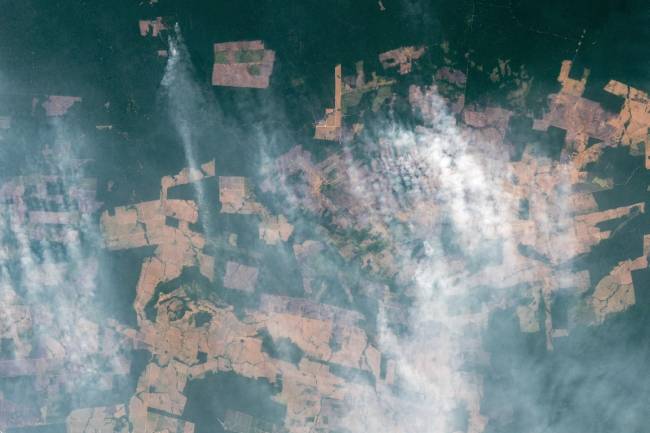 Imagen de satélite de la selva amazónica con parcelas deforestadas de color marrón entre el bosque verde oscuro y columnas de humo blanco de incendios que se extienden sobre el terreno.