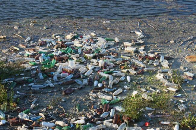 botellas de plástico abandonadas