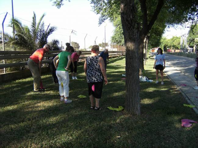Mayores realizando ejercicio físico