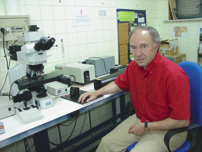 El profesor del área de Cristalografía y Mineralogía de la Universidad de Valladolid Fernando Rull Pérez.