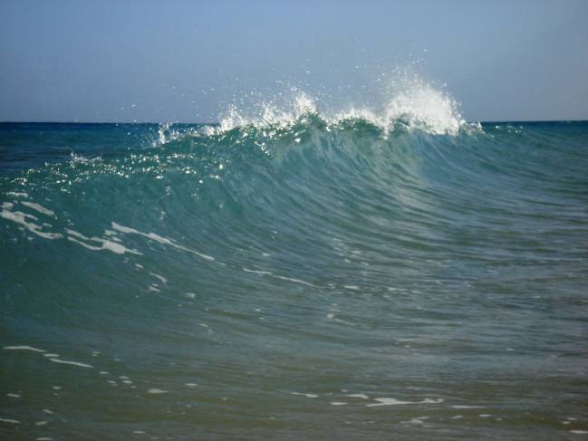 La aplicación proporciona información sobre corrientes, oleaje, mareas, temperatura del mar y del aire. Imagen: fra.ps  