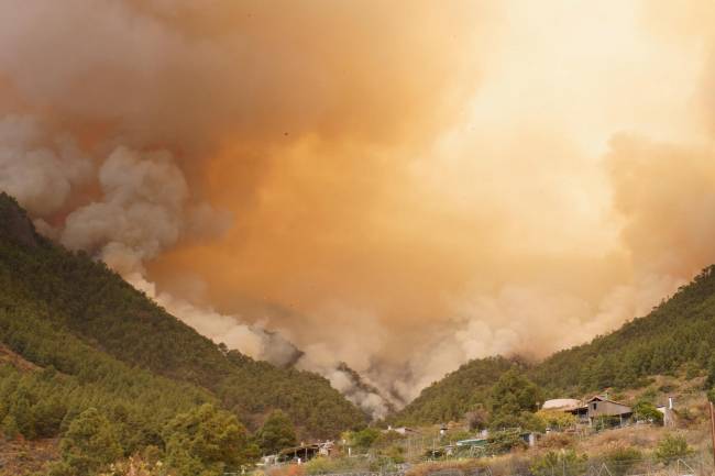 Incendio en la isla de Tenerife