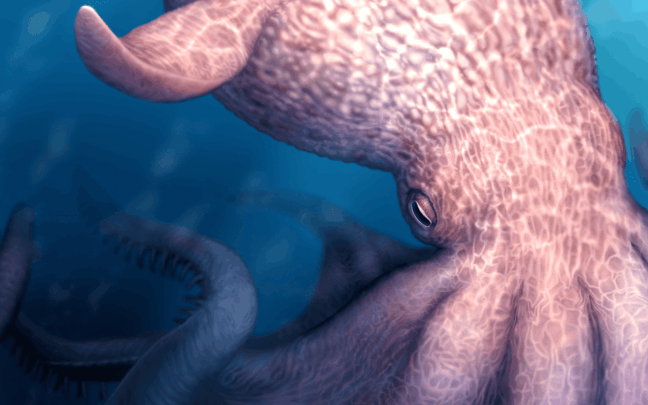 pulpo gigante del Cretácico