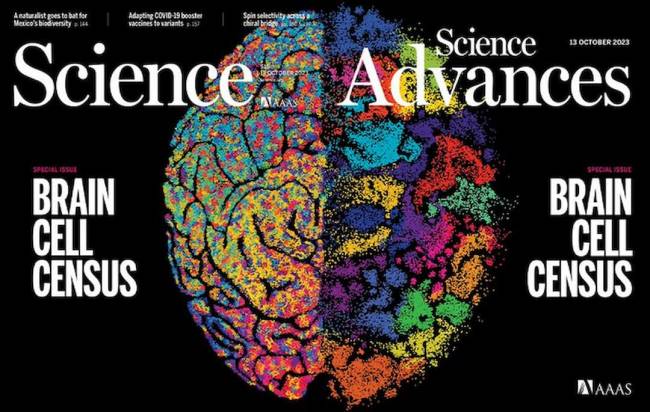 Imagen de cabecera de Science Advances