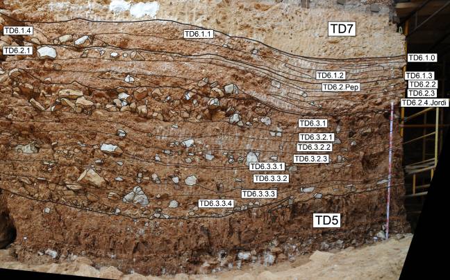 Gran Dolina, Atapuerca